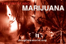 The Truth About Marijuana